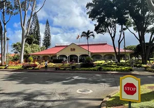 Private Circle Island Tour North Shore and East Side