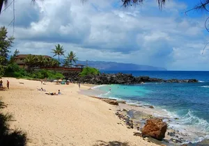 Oahu Private Tour North Shore, Waimea Falls and Dole Plantation