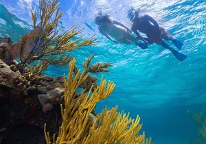 Explore Nassau's Best Spots with Snorkeling Tour