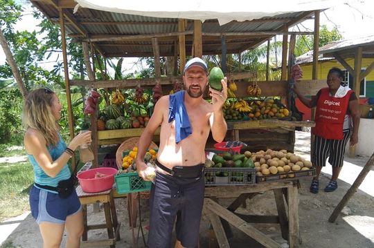 South Coast Cultural Tour History and Nature