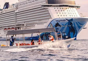 Cabo San Lucas Shared Glass Bottom Boat Experience