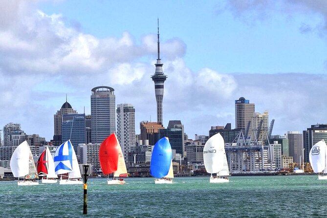Auckland City Top Sights Half Day Tour - Small Group