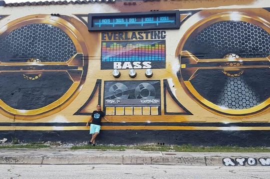 Miami's Top Bus and Citywalk Tour