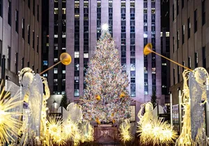 NYC Holiday Lights and Dyker Heights Luxury Bus Tour