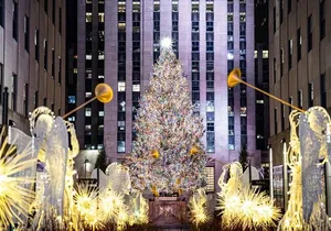 NYC Holiday Lights and Dyker Heights Luxury Bus Tour