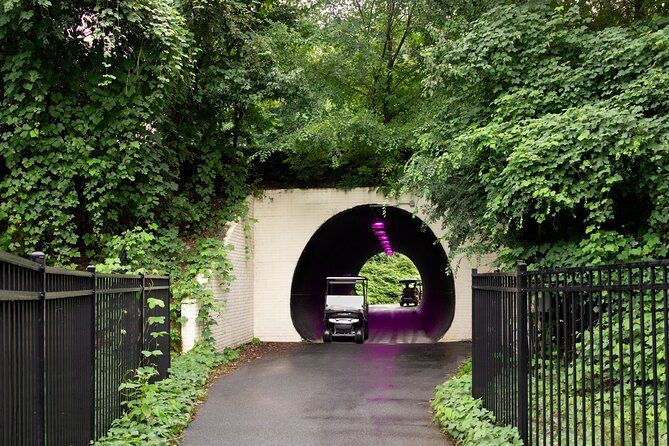 Magical Golf Cart Tour Through Peachtree City Trails
