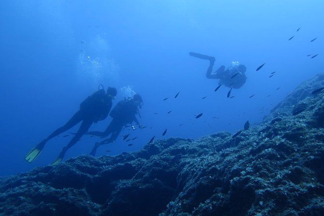 Private Try Scuba Diving
