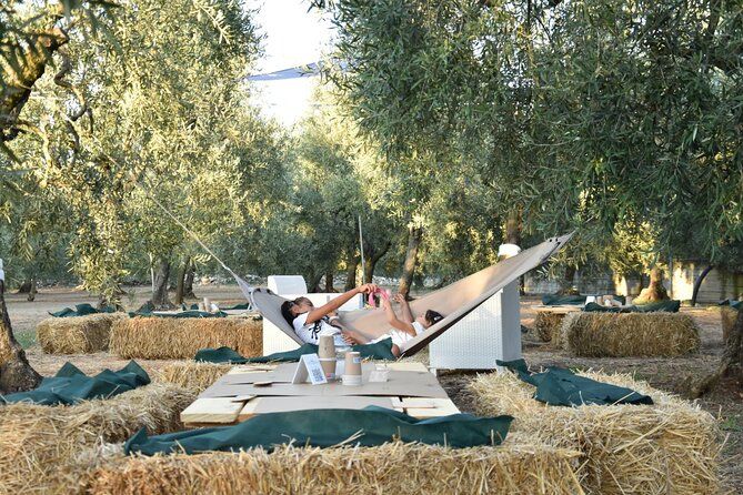 Apulian Olive Oil Tasting and Aperitivo Experience in Trani