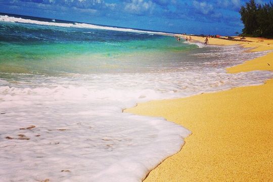 North Shore Excursion Private 7 Hour Tour of Oahu Countryside