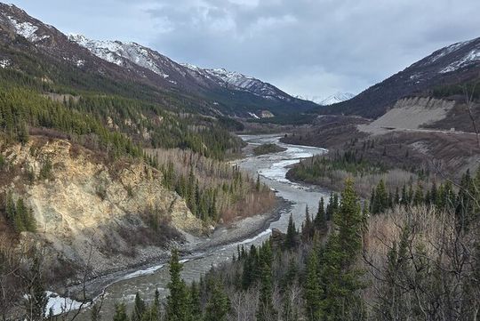 Denali National Park Shuttle
