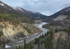 Denali National Park Shuttle