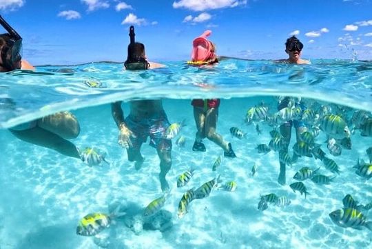Nassau: 3 islands Pigs,Turtles,Snorkel & Beach Club with lunch