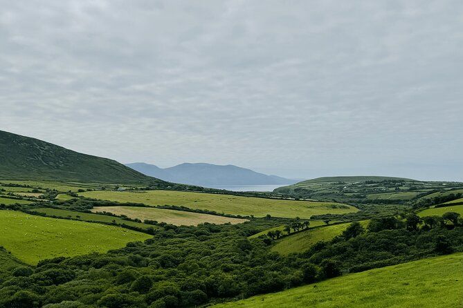 Private Dingle & Slea Head Luxury Tour with No 1 Local Guide