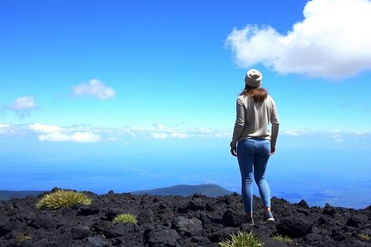 Hilo and Volcano National Park Tour for Cruise Passengers at port
