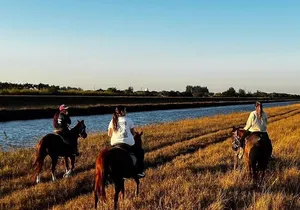 Horseback Riding in Miami