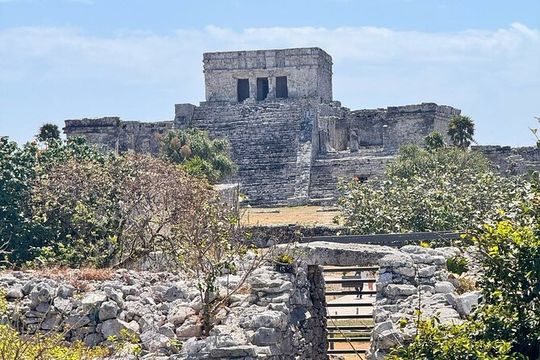 Tulum + 2 Cenotes & Authentic Taco Adventure