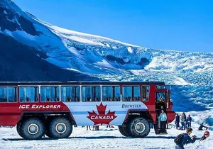 Calgary: Columbia Icefield Adventure, Skywalk and Peyto Lake Tour