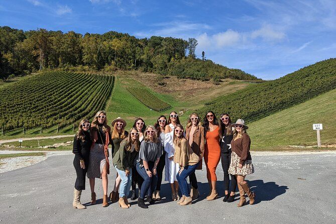 2 Vineyard Wine Tour of Western NC