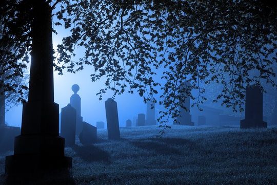 Self-Guided Audio Ghost Tour Through Savannah Shadows