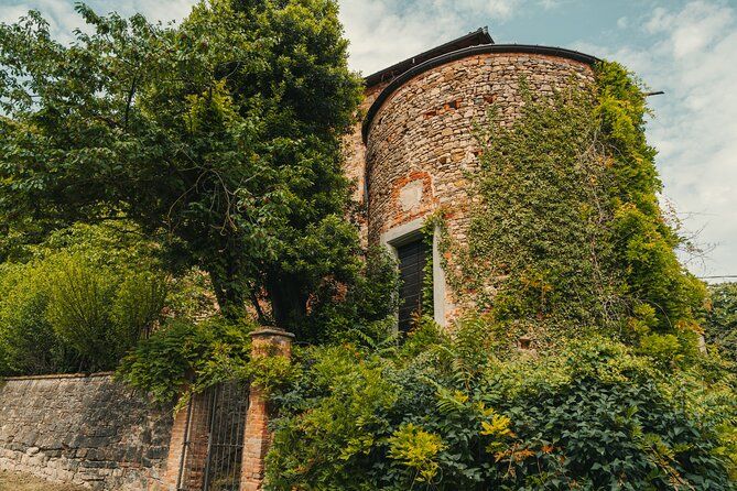 Taste Award Winning Organic Wines in a Castle