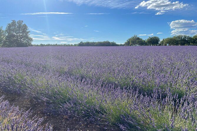Provence pearl of southern France