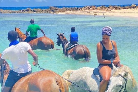 Montego bay horseback ride and swimming Adventure