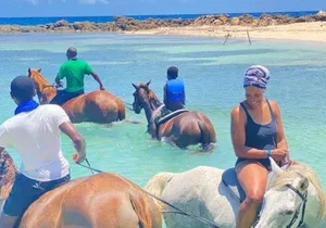 Montego bay horseback ride and swimming Adventure