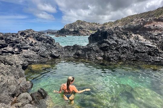 Island of Maui Customized Half Day Tour