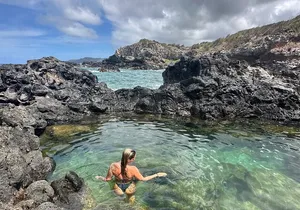 Island of Maui Customized Half Day Tour