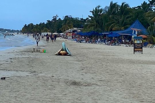 Rick's Café and Seven Mile Beach from Montego bay