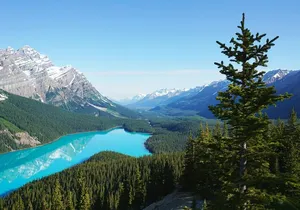 Banff Lake Louise Moraine, Emerald Glacier, Peyto & Bow Lake