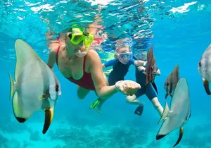 Mauna Kea 2hr One Stop Sealife Snorkel Adventure