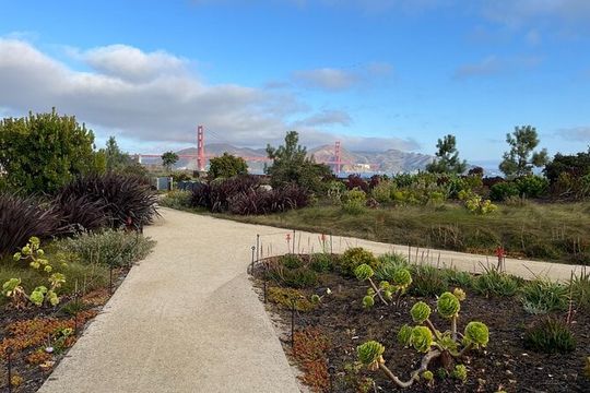 Iconic San Francisco Urban Hiking Tour