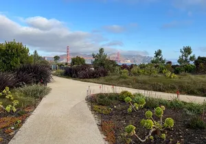 Iconic San Francisco Urban Hiking Tour