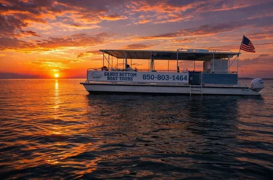 Sunset Dolphin Watching Tour