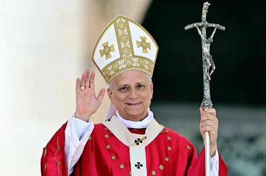 Pope Leo XIV Papal Audience with Reserved Tickets & Expert Guide