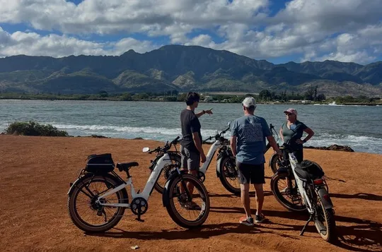 Guided E-Bike Tour in North Shore