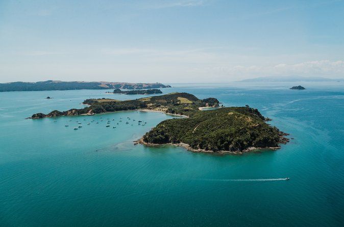Man O' War Vineyard and Rotoroa Island Combo from Auckland