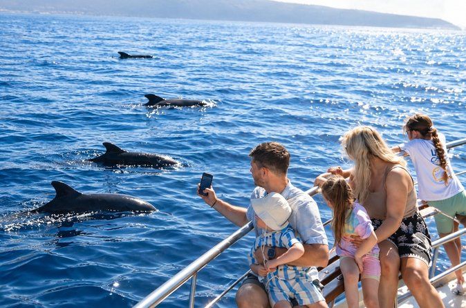Tenerife: Whale & Dolphin Watching Cruise & Swim, Los Cristianos