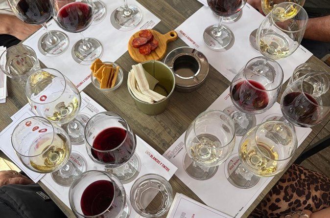 Madrid: Spansk vinsmagning med udsigt over Parque del Oeste