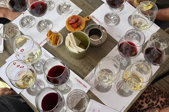 Madrid: Spansk vinsmagning med udsigt over Parque del Oeste