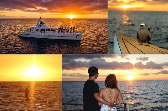 Premium Snorkel Sunset Cruise with Dolphin Watch