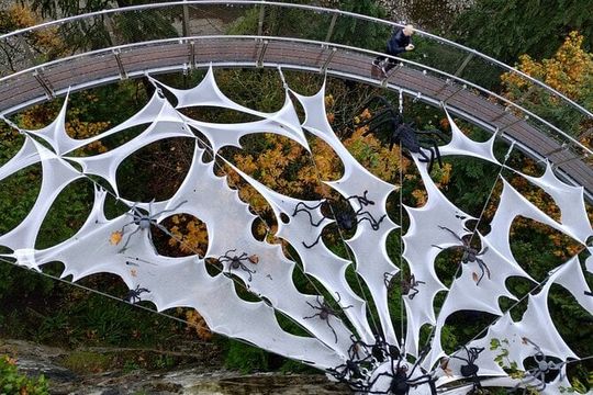 Capilano Br+Grouse Mtn+Dam+Lake+Hatchery/5in1CarTour+Small Group