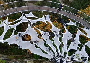 Capilano Br+Grouse Mtn+Dam+Lake+Hatchery/5in1CarTour+Small Group