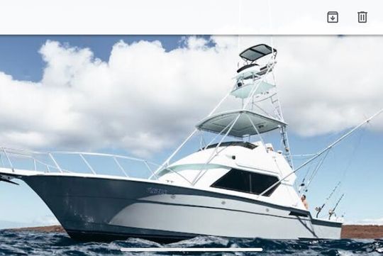 Deep Sea Sport Fishing on a Tournament 43' or 46' Hatteras