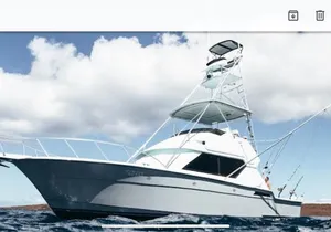Deep Sea Sport Fishing on a tournament 43' or 46' Hatteras