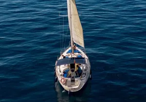 Shared Sailing Tour Discovery of Pilot Whales