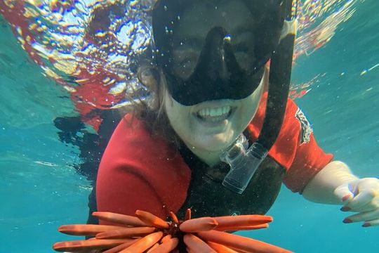 Lahaina Reef Snorkeling Adventure in Maui