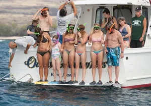 Reef Snorkel under the Captain Cook monument in Kealakekua Bay