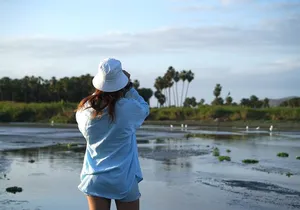 Cabo birding | Bird watching at bird sanctuary